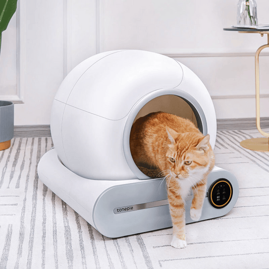 IntelliPurr litter box internal mechanism showing automatic cleaning system and waste collection tray
