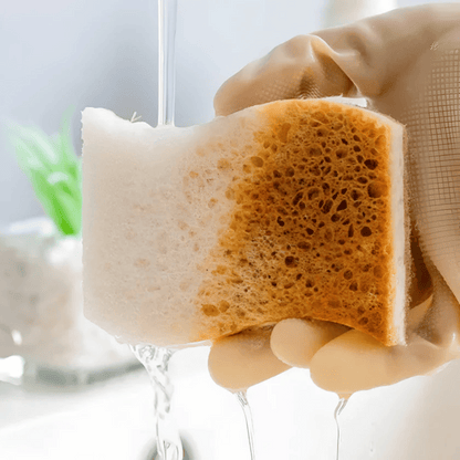 Maison Rose eco coconut fiber scrub sponges natural biodegradable cleaning solution for sustainable homes