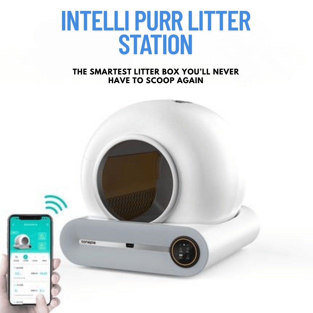 IntelliPurr litter box internal mechanism showing automatic cleaning system and waste collection tray