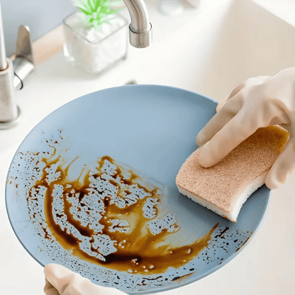 Maison Rose eco coconut fiber scrub sponges natural biodegradable cleaning solution for sustainable homes