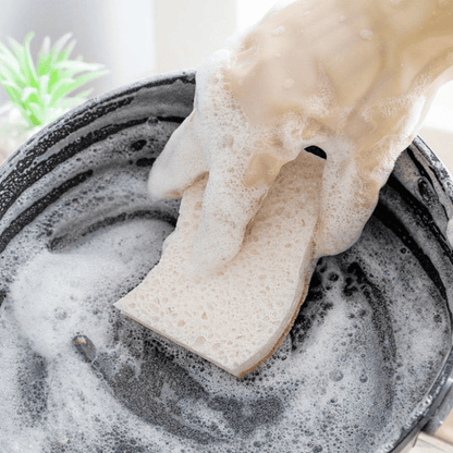 Maison Rose eco coconut fiber scrub sponges natural biodegradable cleaning solution for sustainable homes