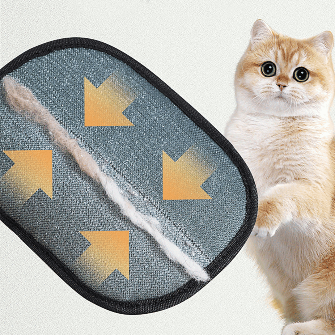 Cat toy with a cat on a light gray background