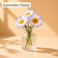 Lavender Daisy