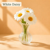 White Daisy
